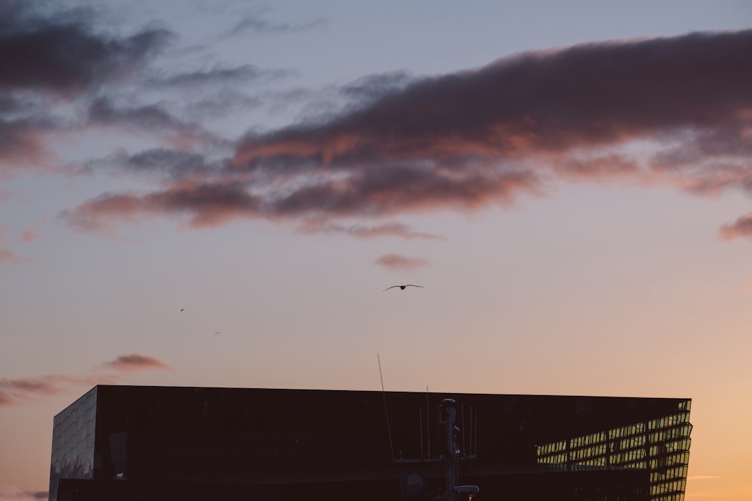 Photo Exploration ship
